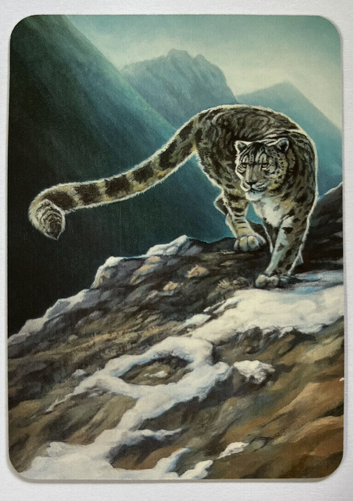 Sorcery Contested Realm Alpha Snow Leopard FOIL Ordinary Pack Fresh