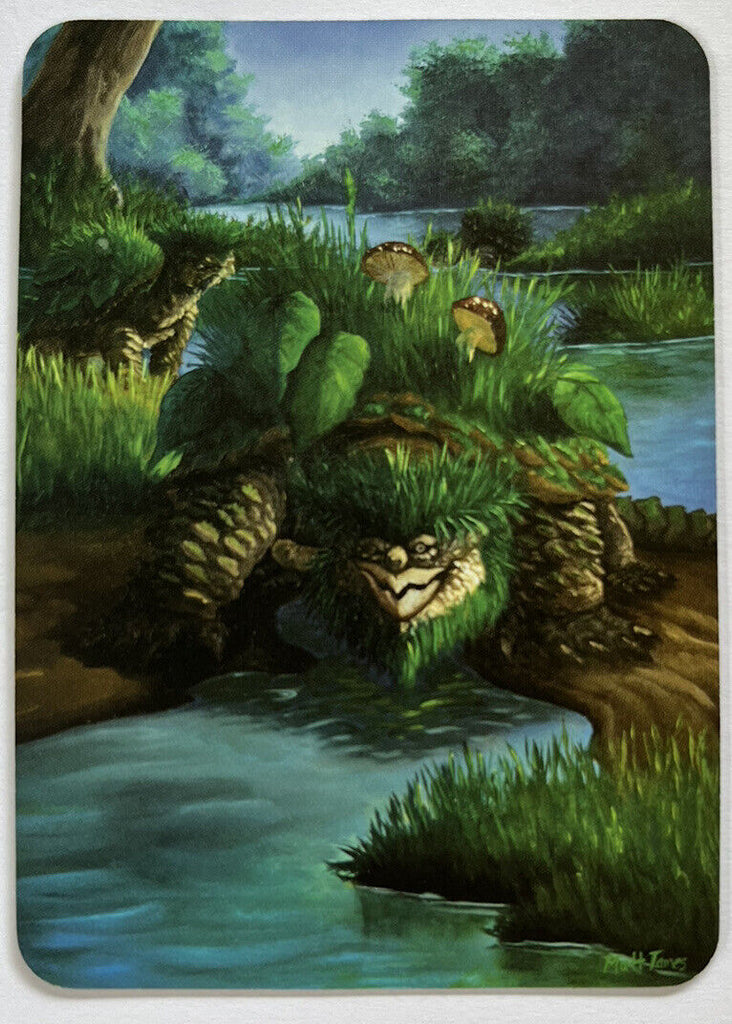 Sorcery Contested Realm Alpha Tufted Turtles FOIL Ordinary Pack Fresh